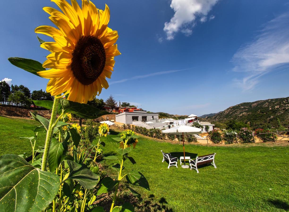sa dom'e malloru Burcei Esterno foto